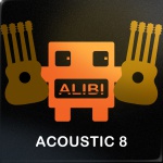 acoustic 8
