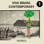 viva brasil contemporary