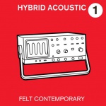 hybrid acoustic