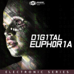 digital euphoria