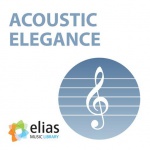 acoustic ele