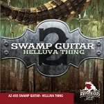 swamp guitar two